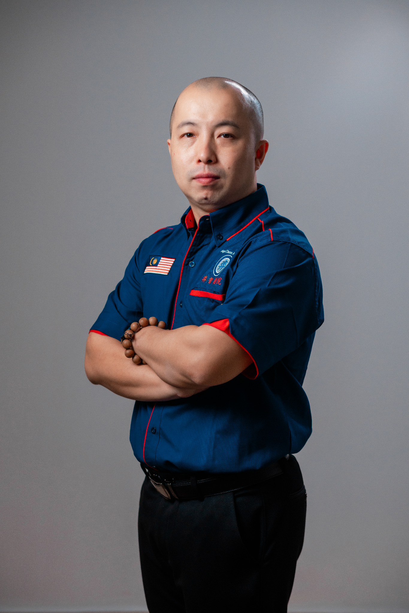 林岳峰肖像